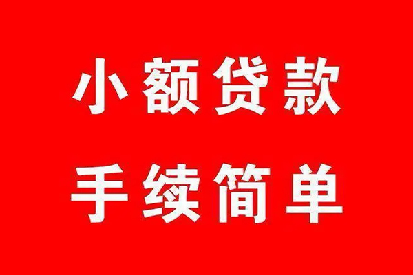 成都8个人贷款小额贷款-成都8贷款无抵押-成都8小额贷款当天放款-第1张图片-成都私人借钱服务中心